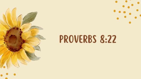 Sự Khôn Ngoan Sẽ Được Tìm Thấy Ở Đâu?