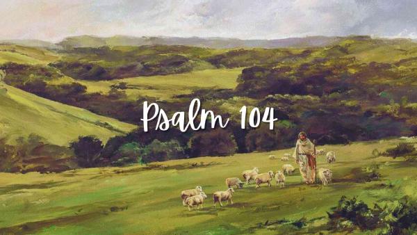 Phân Tích Văn Học và Mô Tả về Thi Thiên 104